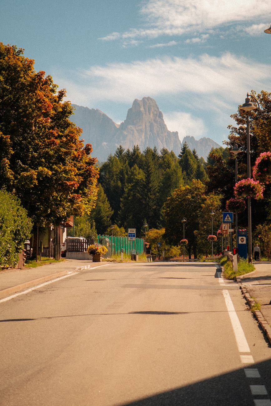 Serene mountain village pathway surrounded by pine trees